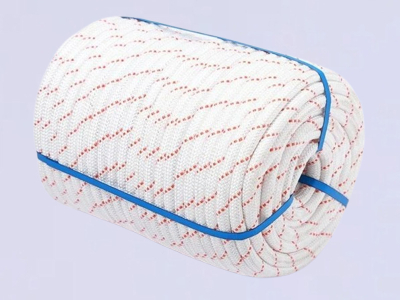 línea de vida vertical